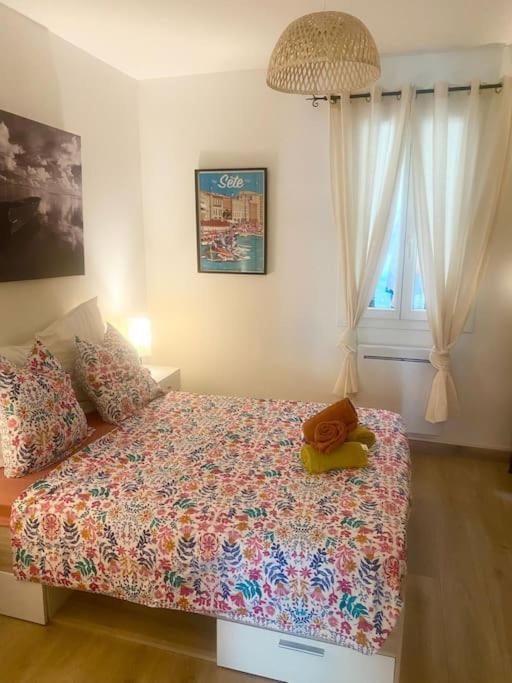 Appartement Neuf Cosy Centre Ville Quartier Haut Sète Exteriör bild